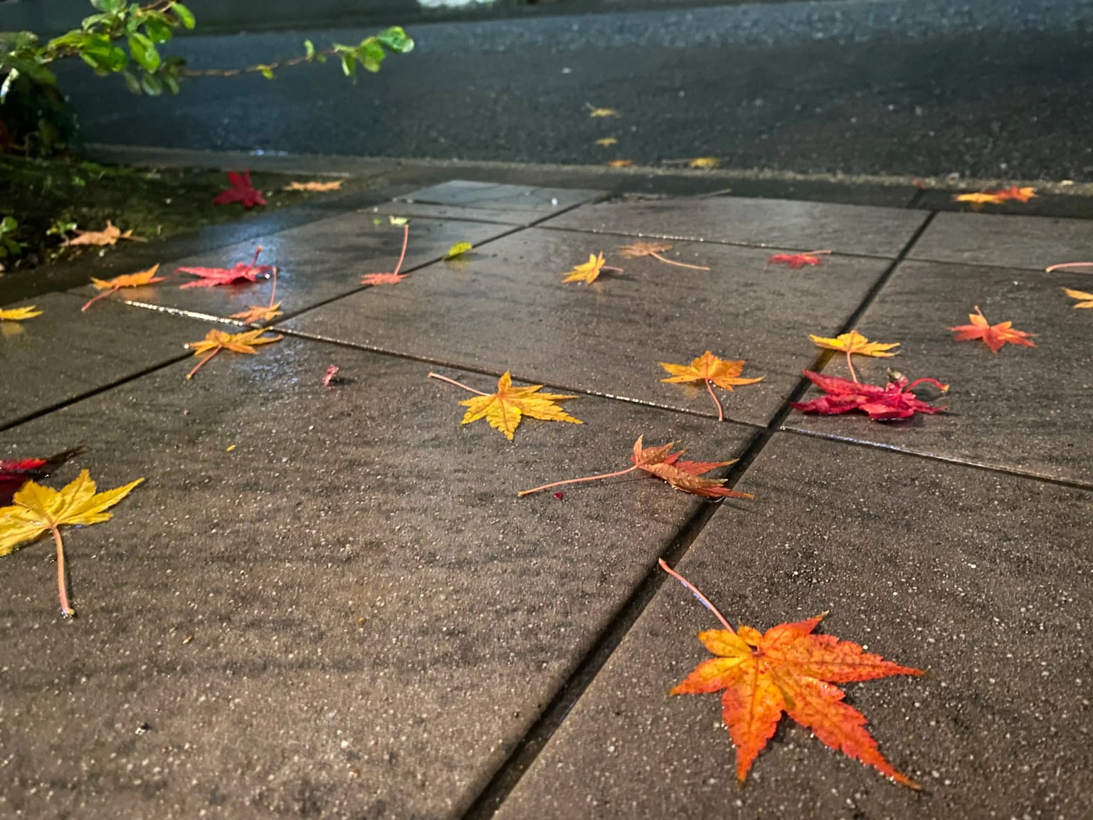 冬日里的圣诞刨冰